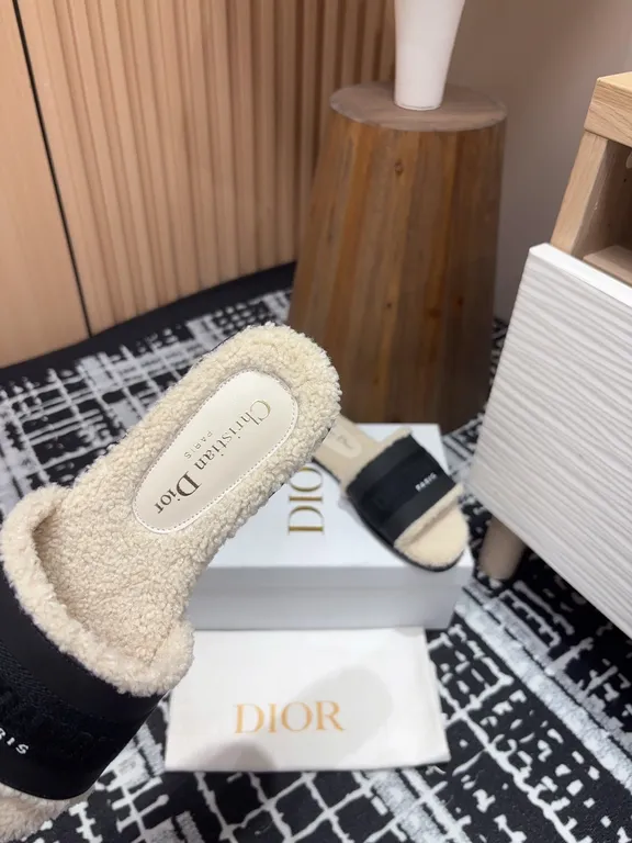 Dior Shoe 